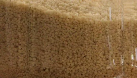 Close-up of semolina granules